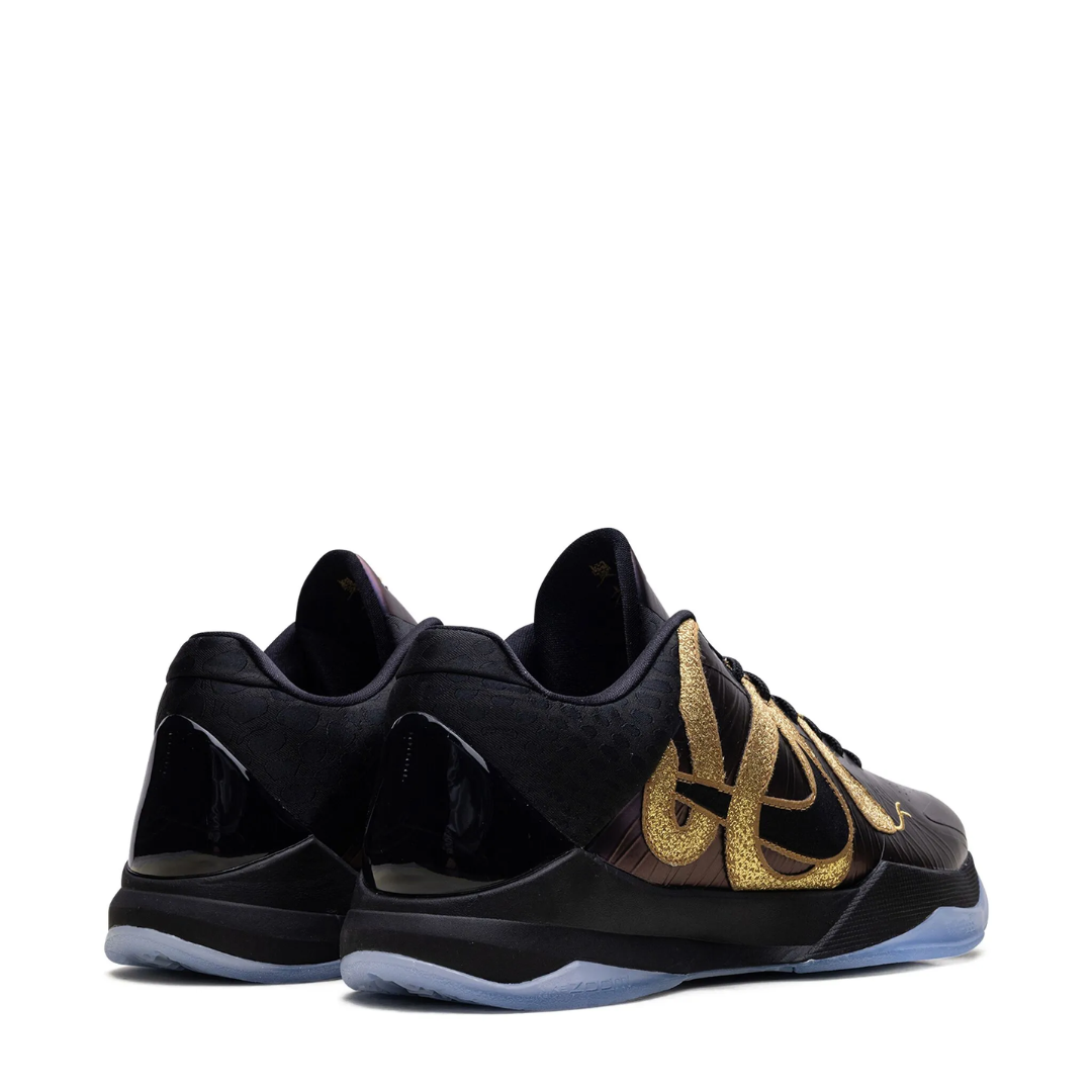 KB5 Eggplant