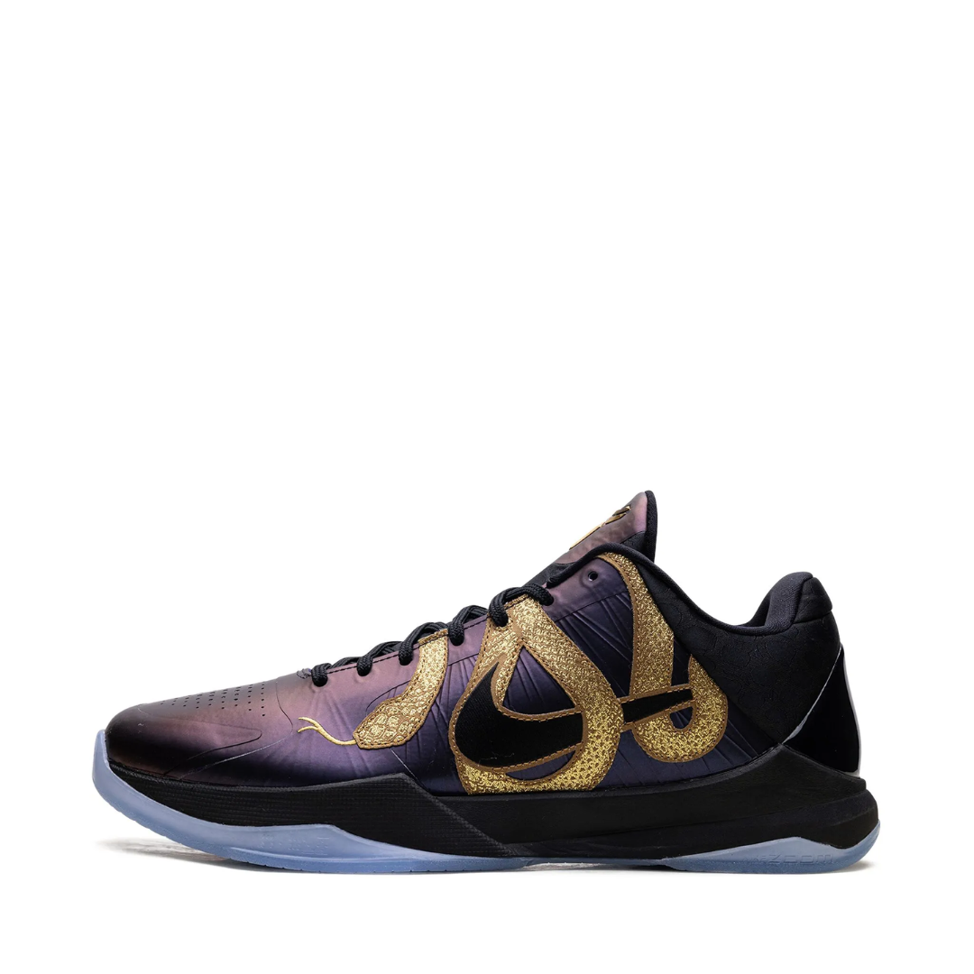 KB5 Eggplant