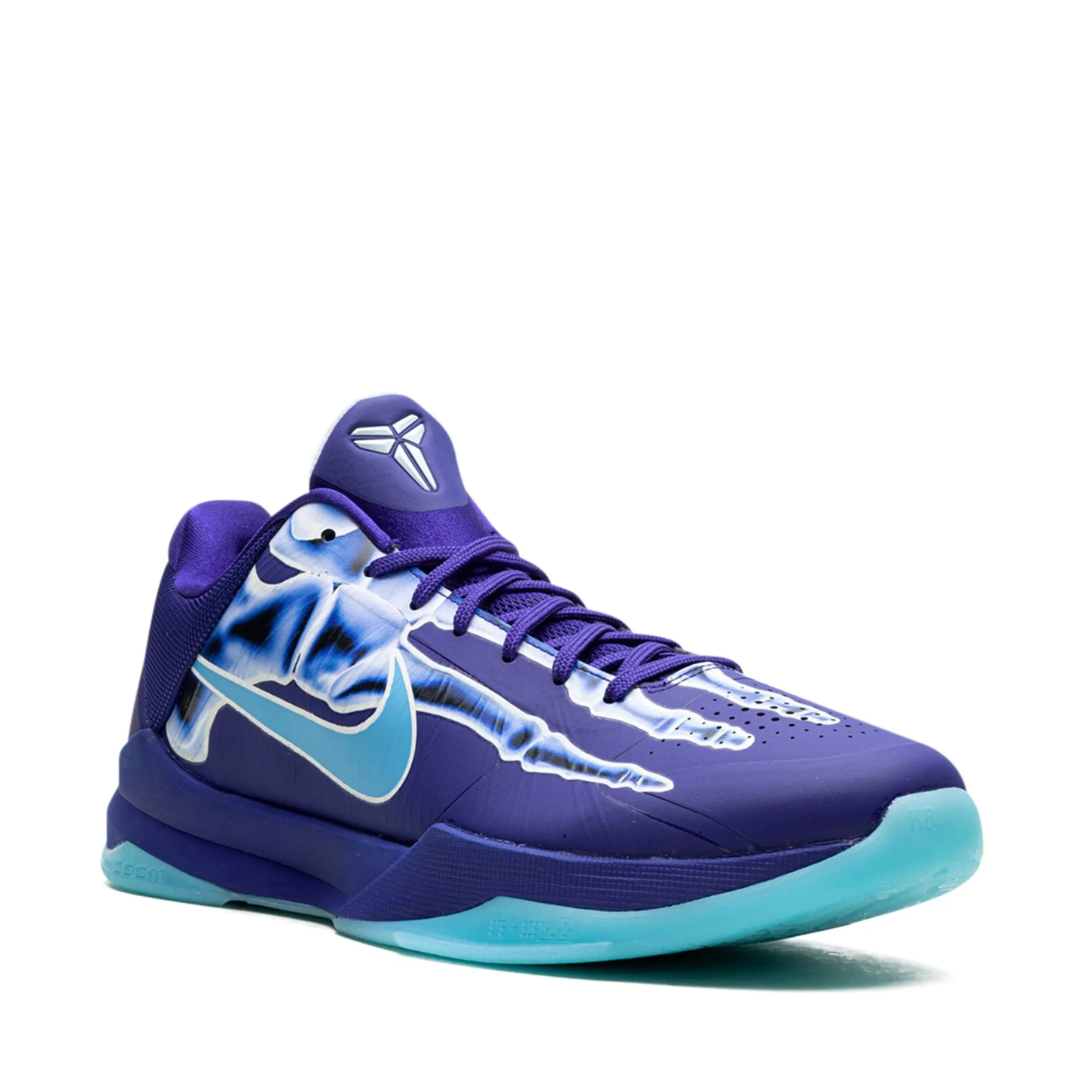 KB5 X-Ray