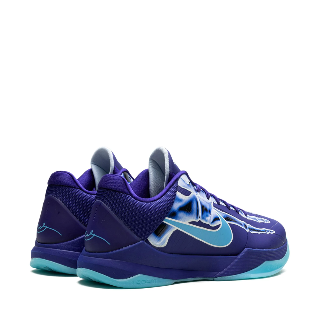 KB5 X-Ray