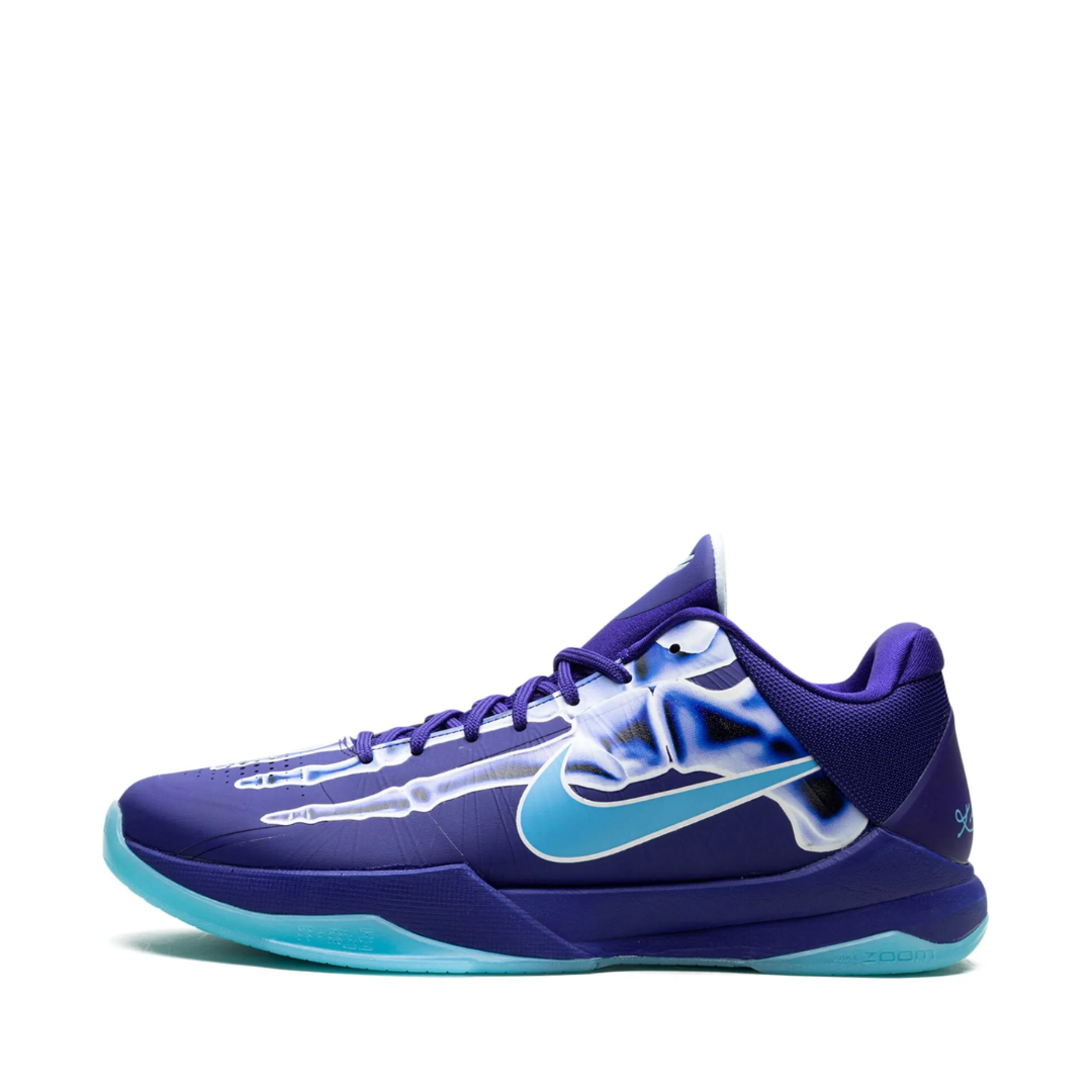 KB5 X-Ray