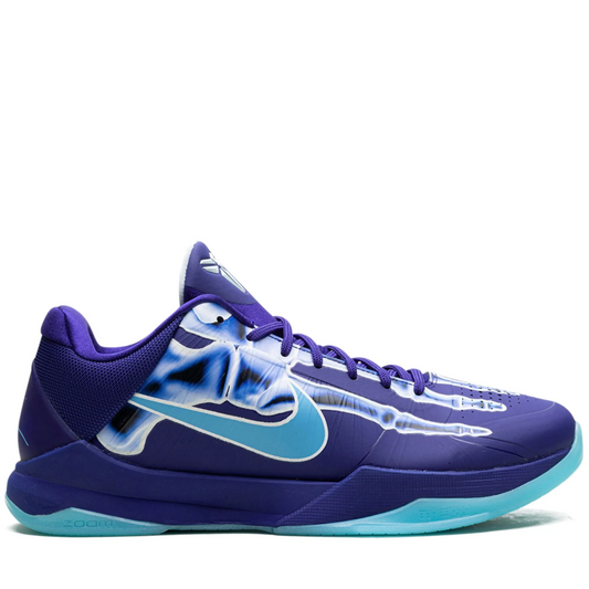 KB5 X-Ray